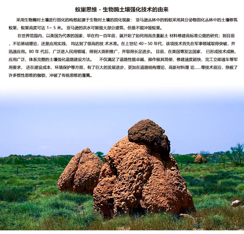 生物酶技術(shù)的由來.jpg